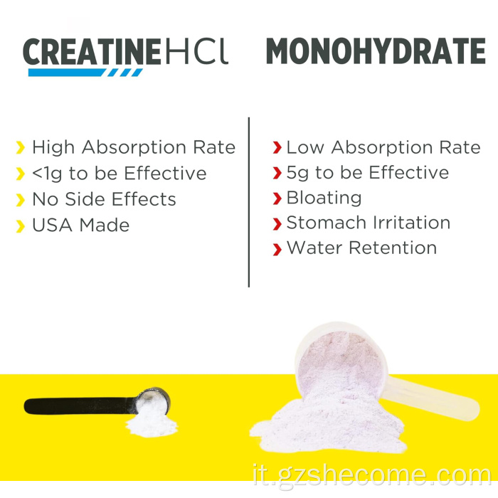 vendita calda Creatina HCl in polvere supporta la salute muscolare